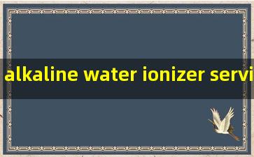 alkaline water ionizer service